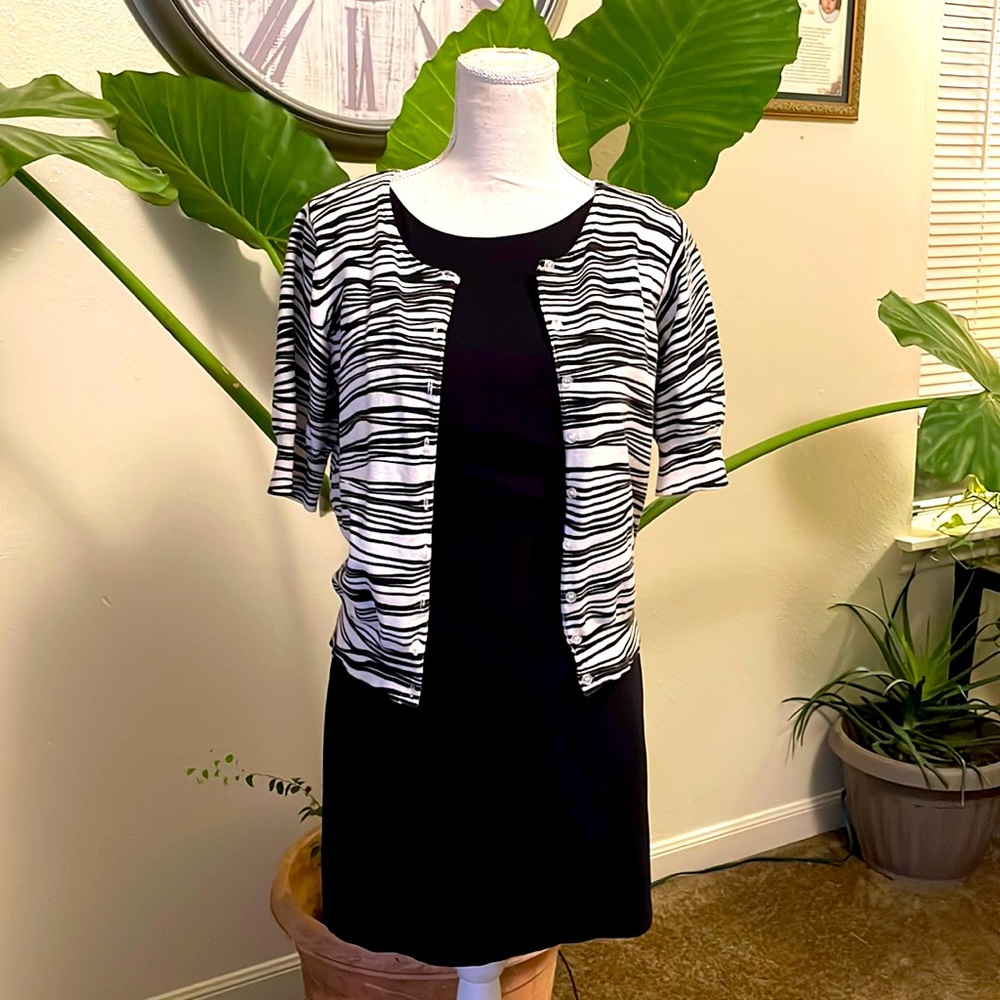 Black, short dress! Zebra print, button up front, short sleeve sweater! Lined